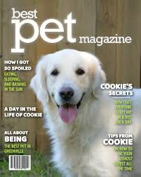 Magazine cover featuring a dog with text about pet topics