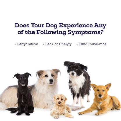 HydraBoost™ Electrolyte Supplement for Dogs & Cats
